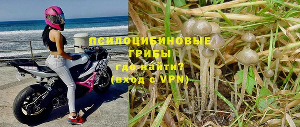 дурь Дмитриев