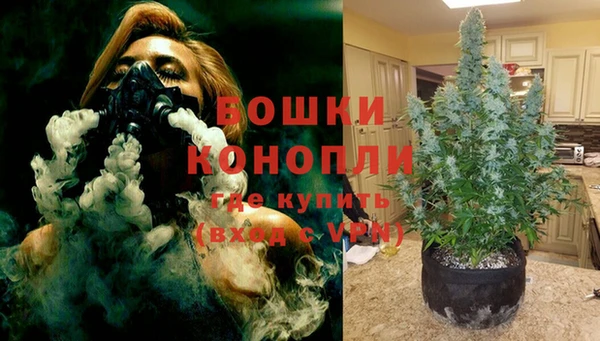 дурь Дмитриев