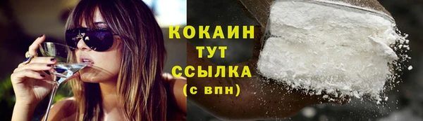 МДПВ Дмитров