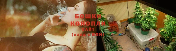 МДПВ Дмитров