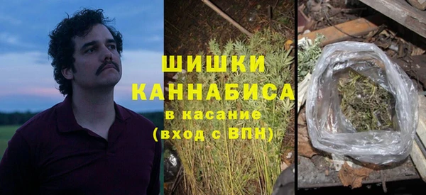 МДПВ Дмитров