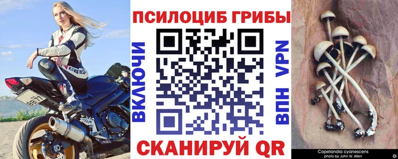 Галлюциногенные грибы ЛСД  где купить наркоту  ссылка на мегу вход  Димитровград 